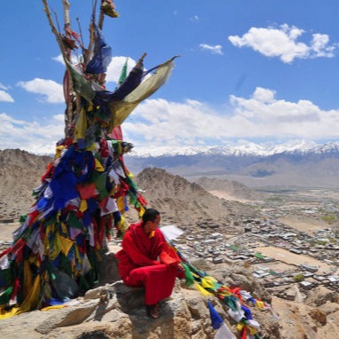 Ladakh Langtas